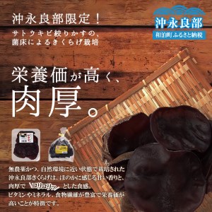■地の利を生かした沖永良部産 恵の 生きくらげ W012-001 惣菜 キノコ