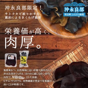 地の利を生かした 沖永良部産 恵の きくらげ Aセット W012-002u 惣菜 キノコ