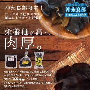 地の利を生かした 沖永良部産 恵の きくらげ Bセット W012-003u 惣菜 冷凍 キノコ