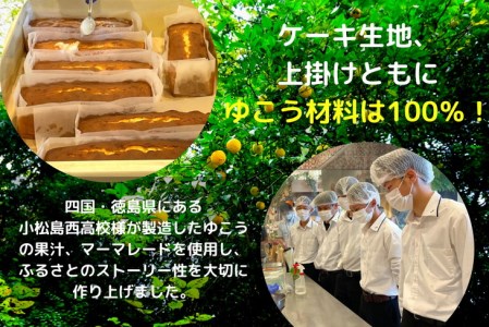 パウンドケーキ 2本 セット 国産 徳島県 スイーツ 洋菓子 柑橘 ギフト ※配送指定不可