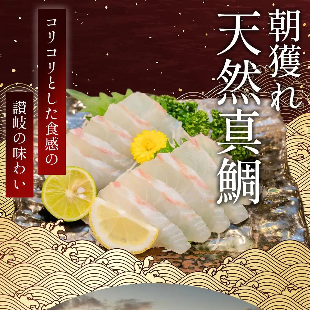 天然真鯛 刺身用（4人～5人前）