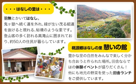 施設利用チケット 1000円 桃源郷はなしの里