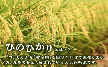【お中元対象】 糸島産 ひのひかり 10kg 糸島市 / 三島商店 [AIM004] 米 白米