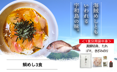 宇和島 鯛めし 3食 安岡蒲鉾店 鯛めし D016-020003