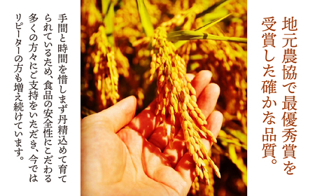【数量限定】《令和7年産》岐阜県産 コシヒカリ（精米） 5kg | 垂井町産 米 白米 冷めても美味しい米 ブランド米 高品質 安心 安全 リピーター多数 贈答用 贈り物 ギフト プレゼント おしゃれ 人気 T rice Store