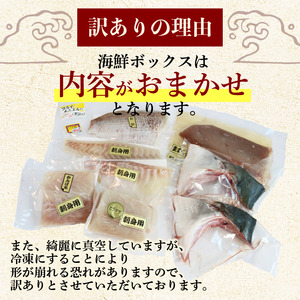【海鮮】訳あり 旬の海鮮 詰め合わせ 約1.2㎏