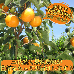 柿 2.5kg 輝太郎 きたろう 鳥取県 オリジナル | 21M