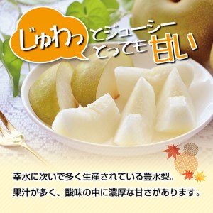 SA2927　酒田の果物専門店厳選　刈屋産 豊水梨　約3kg(7～9玉入)