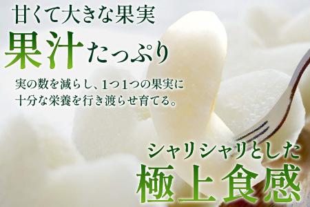 【先行予約】梨（幸水）※2026年8月下旬以降順次発送予定  / フルーツ 果物 くだもの なし 滑川市 新山果樹園 [A-014001]