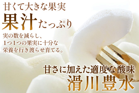 【先行予約】梨（豊水）※2026年9月上旬以降順次発送予定 / フルーツ 果物 くだもの なし 滑川市 新山果樹園 [A-014002]