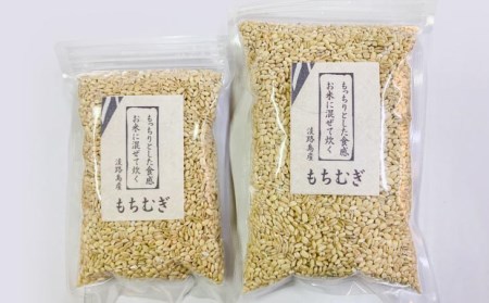 淡路島 南あわじ産　もちむぎ（キラリモチ）1.5kg
