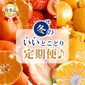 【特秀品!】冬のいいとこどり定期便♪