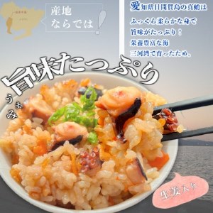 岬だより 日間賀島産たこで作る 無添加の本格タコ飯の素 2合炊き6袋セット [配送不可地域：離島]