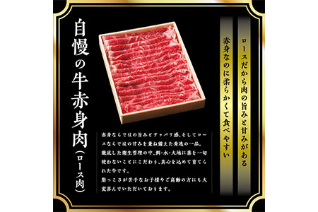 ＜牛赤身ロースすき焼き1kg(500g×2)＞翌月末迄に順次出荷【c428_tf_x2】