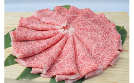佐賀牛ローススライス しゃぶしゃぶ用 500g （500g×1パック） 149-J1800