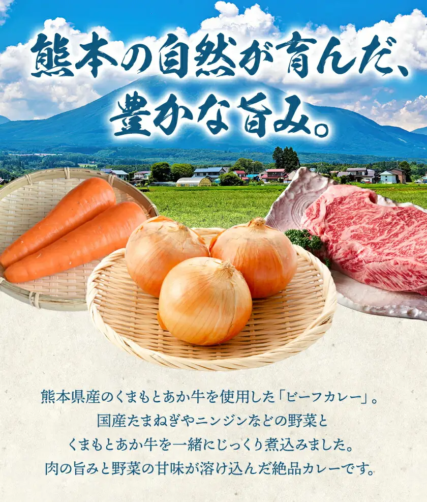 熊本県産あか牛使用 くまもとあか牛 ビーフカレー 15袋 1袋160g レトルト カレー パック 常備食 長期保存 送料無料《30日以内に出荷予定(土日祝除く)》