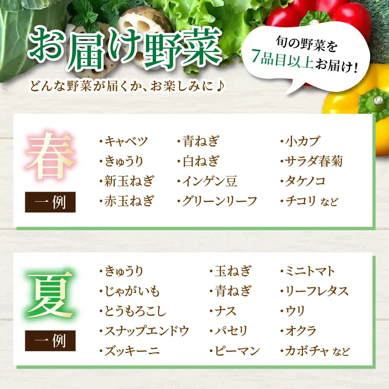 【12ヶ月連続お届け】農家直送 旬の野菜セット 7品目以上 1箱 ／ 定期便 12回 季節 野菜 ボックス BOX セット セレクト 農家 おまかせ 多品目 旬 詰め合わせ 根菜 葉物 [aw028-f001]