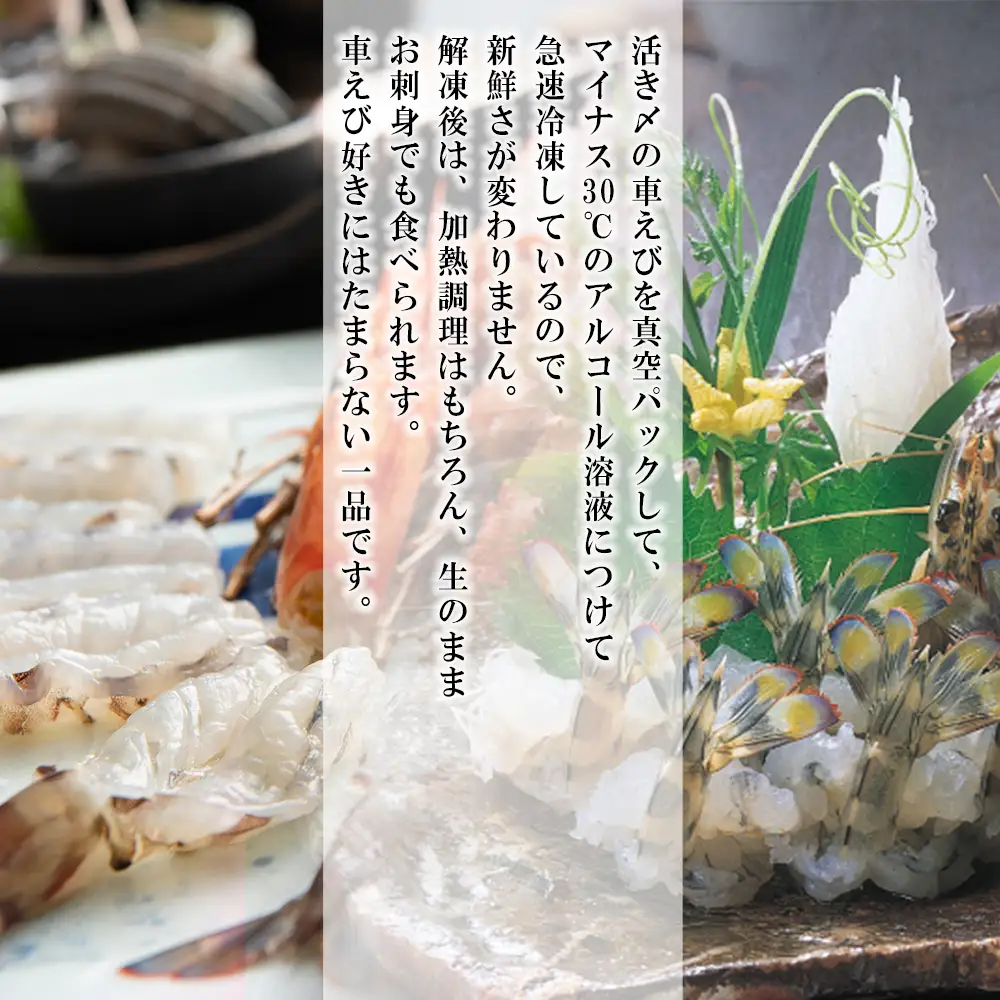 生食用凍眠凍結姫島車えび(養殖)約200ｇ(6尾～10尾)×2パック A1