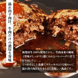 惣菜 ハンバーグ 10個 新発田牛 惣菜 惣菜 惣菜 惣菜 惣菜 H22_02