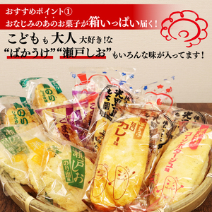 箱限界に挑戦！ Befco せんべい 16種 詰め合わせ せんべい