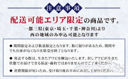 【日付指定必須】【エリア限定】【数量限定】五島産養殖活アワビ6個 小サイズ あわび 鮑 五島市/都工業 [PEX002]