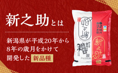【新米受付・令和8年産米】【精米即日発送】新潟県村上市桃川産 特別栽培米 新之助 8kg（2kg×4袋）NAB4037