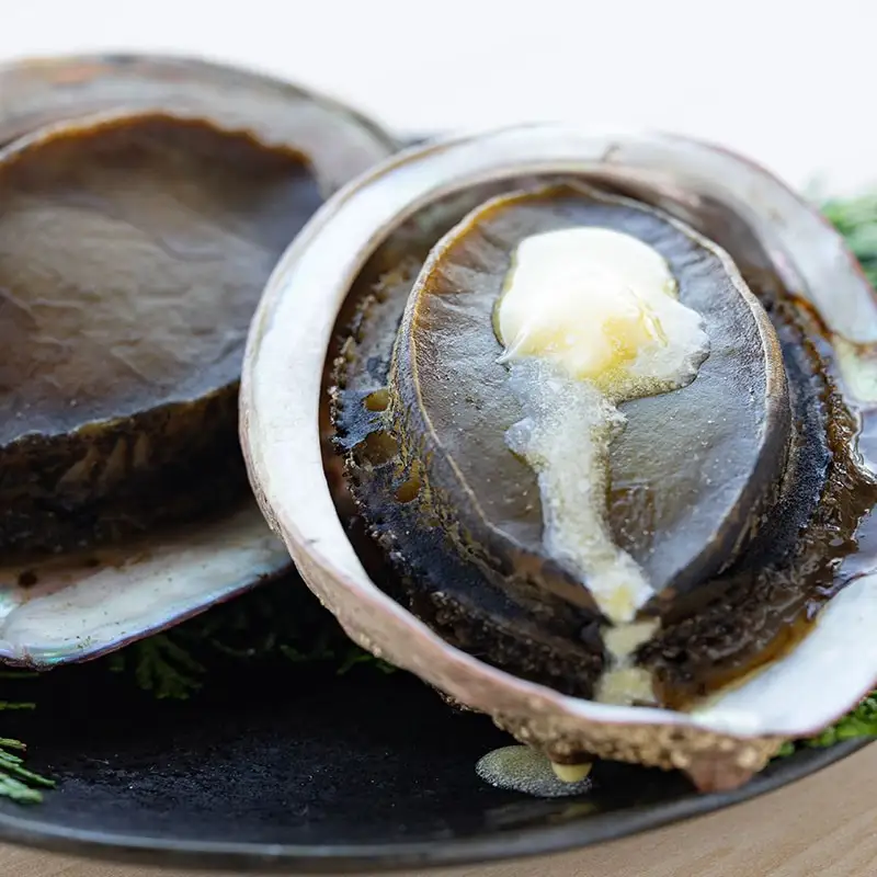 【数量限定】活黒あわび（養殖）