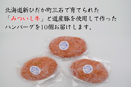 北海道産 黒毛和牛 みついし牛 と 道産豚 ハンバーグ 計 1kg （ 100g × 10個 ）