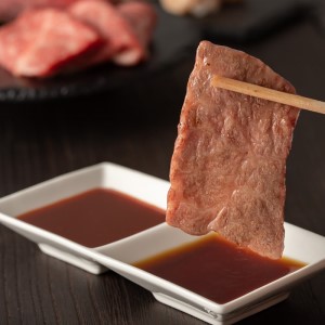 【訳あり】A5～4等級　博多和牛ヒレ焼肉用　600g【036-0008】