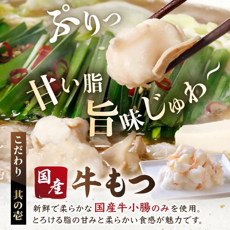 博多若杉牛もつ鍋セット4～5人前(醤油味)もつ鍋 もつ鍋【024-0015】