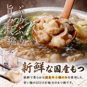 博多若杉牛もつ鍋4～5人前セット辛子明太子切れ子500g付【024-0029】