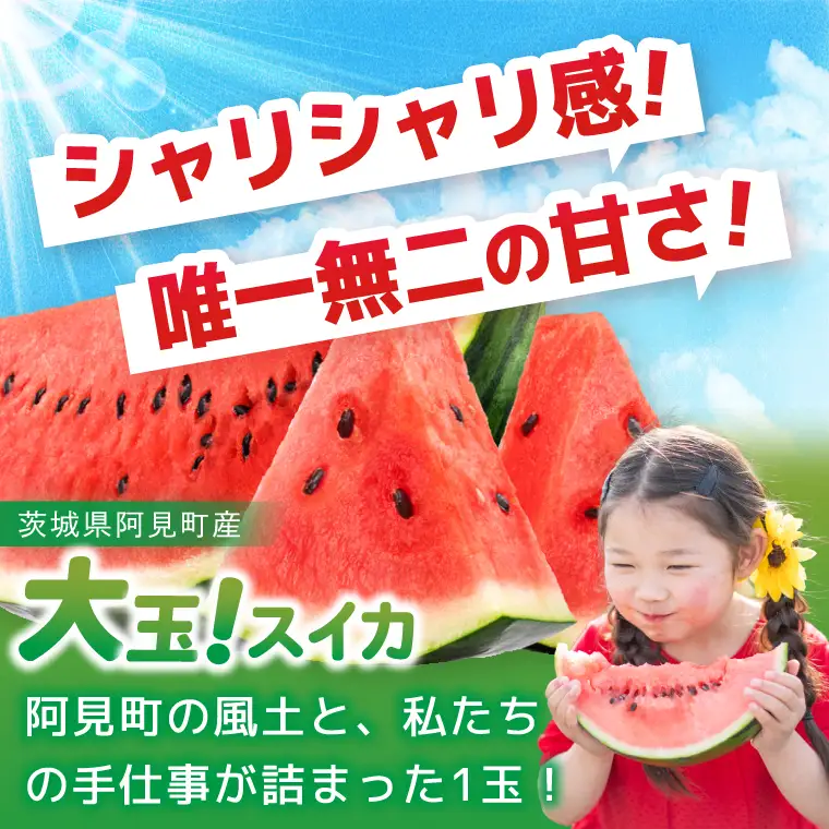先行予約 大玉スイカ 3L サイズ 茨城県産 茨城県 阿見町 1玉 すいか 西瓜 果物 くだもの フルーツ 国産 甘い 大玉 スイカ 通販 お取り寄せ シャリ感 みずみずしい 完熟 高糖度 大きい こだわり栽培 特別栽培 旬 産地直送 数量限定 期間限定 送料無料 【先行予約｜2026年6月上旬より順次発送】（04-25）