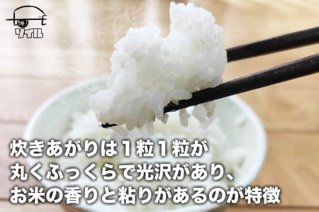【米 定期便】 令和8年産 コシヒカリ白米 10kg×6か月 / 米 こしひかり ソイル 