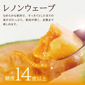 SA2870　庄内メロン/赤肉　レノンウェーブ　約7.5kg(5～6玉入)
