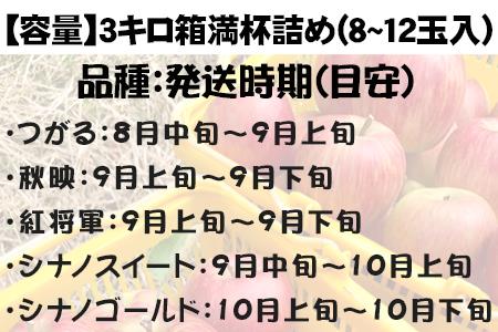 『先行予約』【令和8年8月中旬発送】厳選 九州旬のりんご 3キロ箱(8～12玉入) 九州 リンゴ 林檎 フルーツ 果物 つるが 秋映 紅将軍 シナノスイート シナノゴールド 3kg