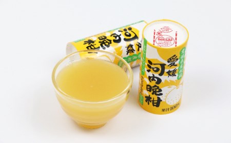 河内晩柑 ジュース 30本 愛工房 河内晩柑 H020-034004