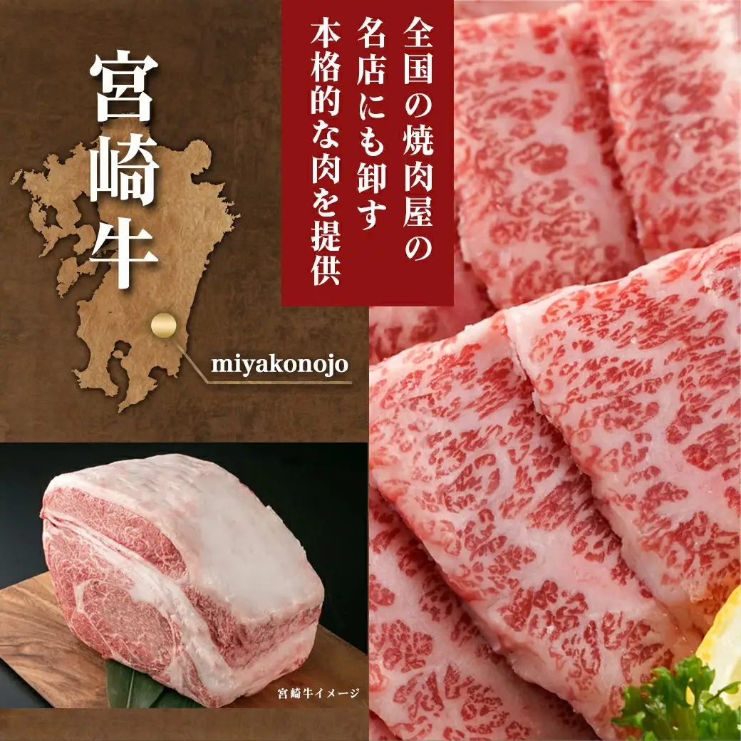 宮崎牛カルビ焼肉400g〔MJ-I901〕_(都城市) 宮崎県産宮崎牛 カルビ焼肉用 焼肉 バラ肉 カルビ 真空 真空スキンパック 急速冷凍 贈答用