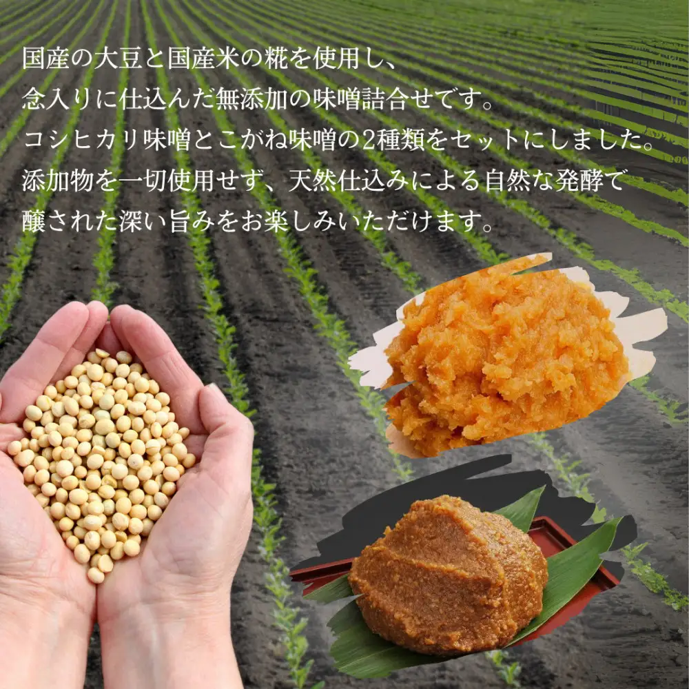 信州産 無添加カップみそ 計２kg 詰合せ | 味噌 みそ 無添加 信州