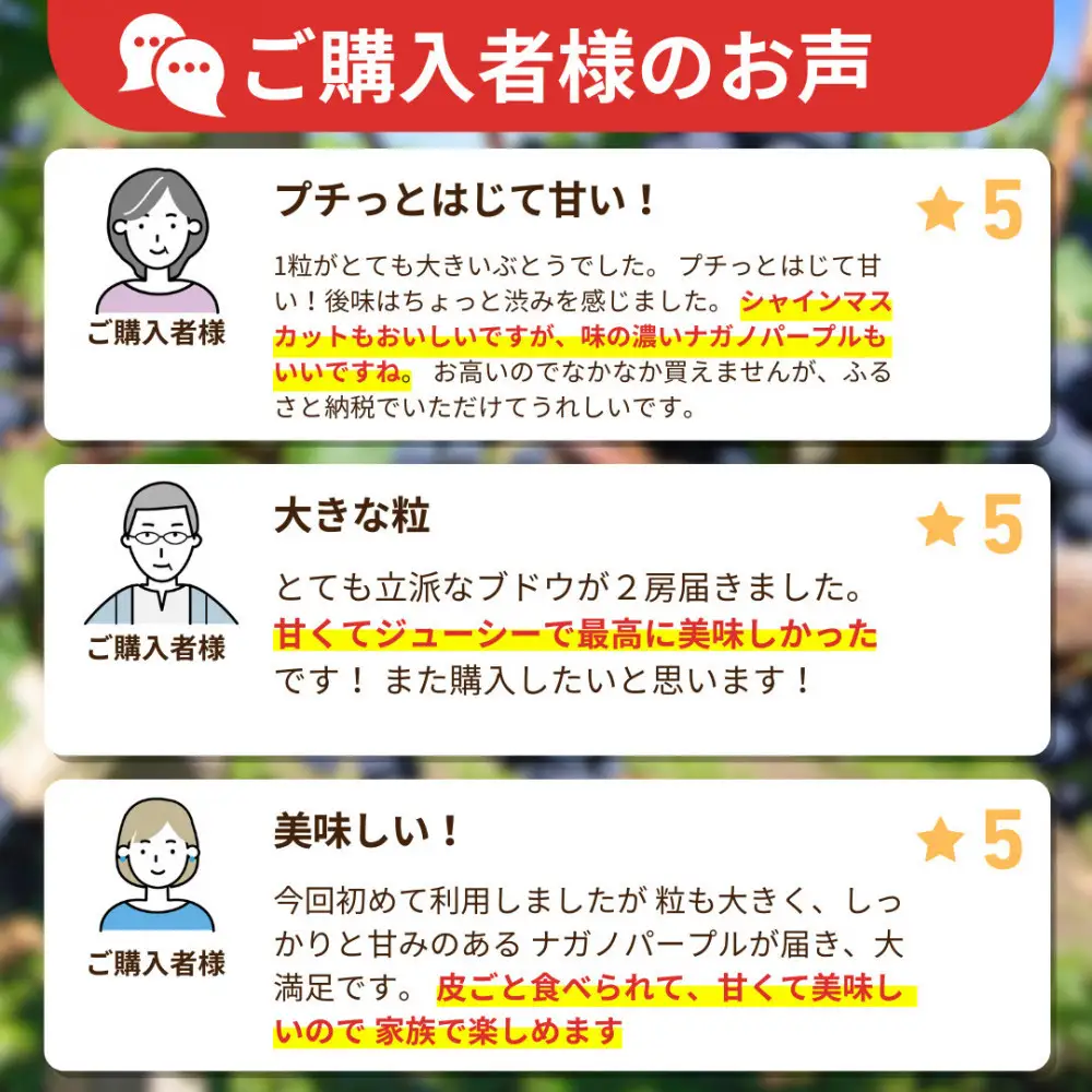 長野市産 ナガノパープル1kg【2026年9月以降出荷分】果物 くだもの フルーツ デザート 種無し 大粒 旬 長野市