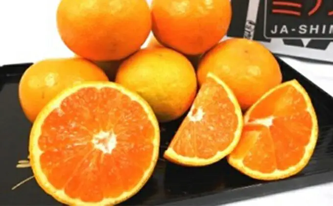 【2026年11月中旬より順次発送】秋の味覚　甘～い　早生ミカン5kg【配送不可：離島】◆