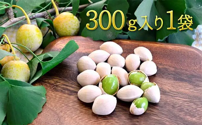【2026年10月より順次発送】真空パックで新鮮！しみずの銀杏300g　1袋★★