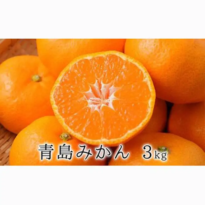【2027年1月中旬より順次発送】甘さと酸味がマッチ　青島みかん3kg