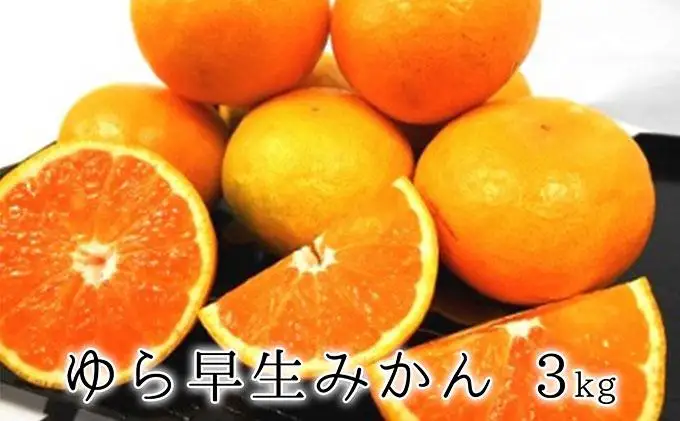 【2026年10月上旬より順次発送】甘みと酸味がギュッ　ゆら早生みかん3kg★★◆