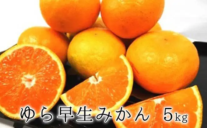 【2026年10月上旬より順次発送】甘みと酸味がギュッ　ゆら早生みかん5kg◆