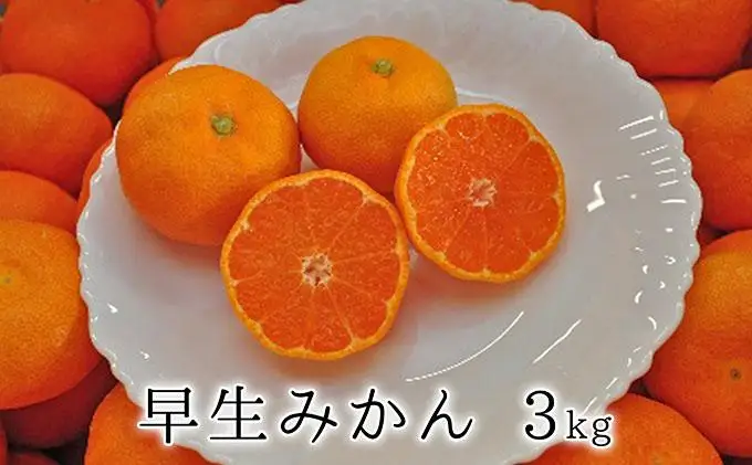 【2026年11月中旬より順次発送】秋の味覚　果汁たっぷり　早生みかん3kg★★◆
