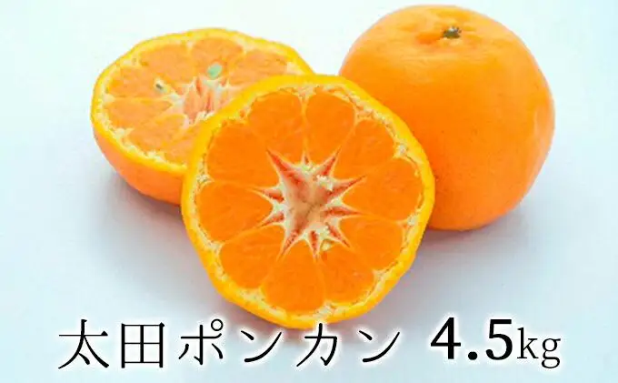【2027年1月より順次発送】静岡県清水生まれの美味しい柑橘・太田ポンカン 4.5kg◆