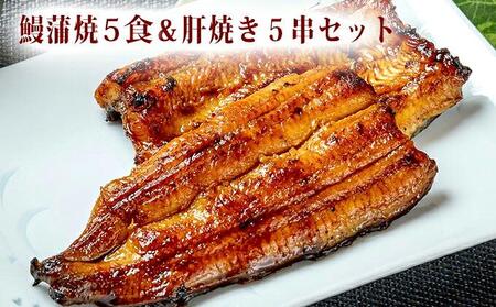 〈うなぎの篝火〉国産うなぎ真空パック蒲焼5食・鰻肝焼き5串セット  【配送不可：離島】