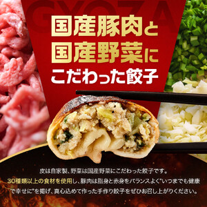 【ホワイト餃子】16個入×4パック（合計64個）　餃子 冷凍 惣菜 加工食品 中華 豚肉 　