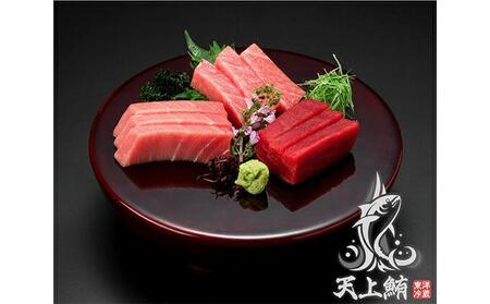 天上鮪ブランド！天然本鮪 赤身2サク・中トロ2サク・たたき1パックセット 【配送不可：離島】
