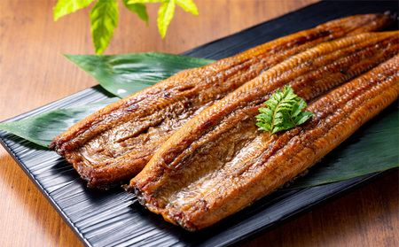 うなぎ 手焼き 岡山 桃太郎 蒲焼 4尾（1尾 約140g） 鰻の蒲焼 和食 和 魚料理 一品料理 つまみ お酒のあて 肴 さっぱり 国産 日本産 国産ウナギ 食材 食べ物 鰻丼 